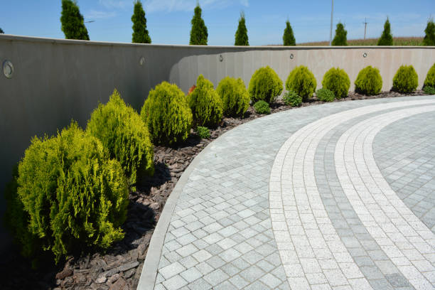 Best Driveway Pavers Near Me  in Cricket, NC
